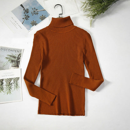 Pull Col Roulé Tricoté à Rayures